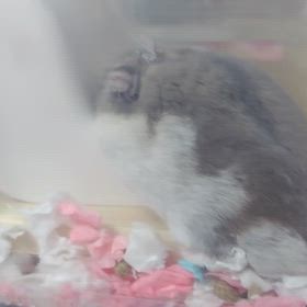 行き倒れ風に寝るのは止せの画像