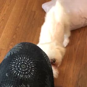 2024年8月7日水曜日の画像