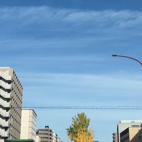 学祭と紅葉狩りの画像