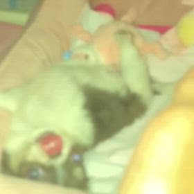 元気　げんき　遊んでの画像