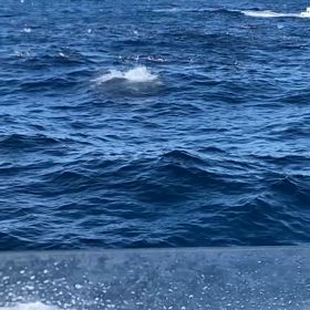 時化後！２日目はやっぱり激アツの画像