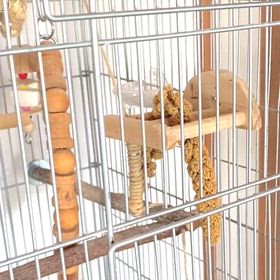 今日も一人で出来るもん！&赤ちゃんハイジ？の画像