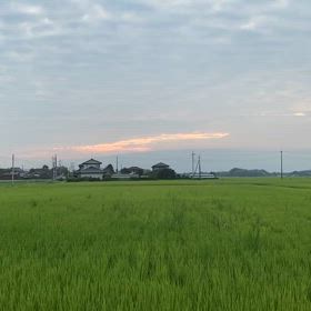 朝のお散歩　♡の画像