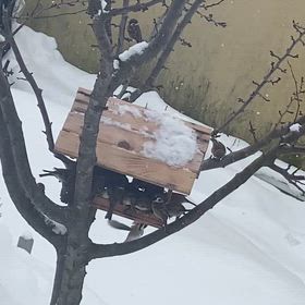 満員御礼の画像