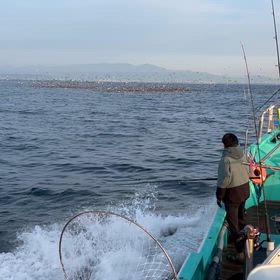 今日の朝イチ‼️の画像