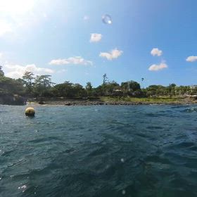 最近のお気に入りは…の画像