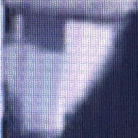 車掃除始めたら、観察開始←撮影したら引っ込んだ！の画像