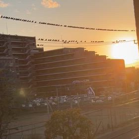 ちゅんちゅんちゅん・・・の画像