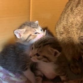 赤ちゃんの画像