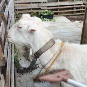 もっともっとの画像