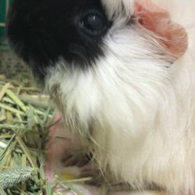 動画（20240526）の画像