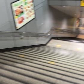 新たな刺客の画像