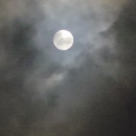 中秋の名月の画像