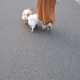 ダブルリードで♪の画像