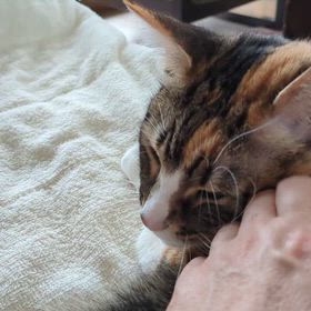 ３月３０日（月）の画像