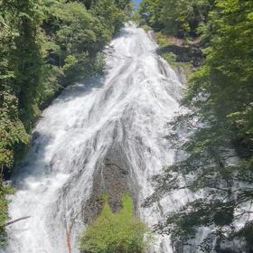 涼しさのお裾分けの画像