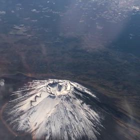 ☆静養...☆の画像
