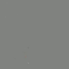 パラウイング 結果陸練習のみの画像