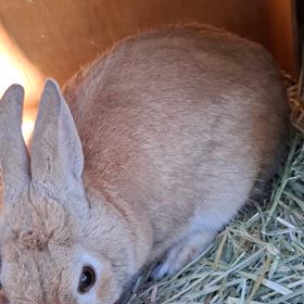 ボクは強めが好み♡の画像