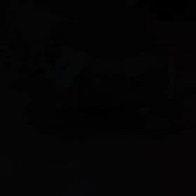 ☆お泊りわんこ☆〜の画像