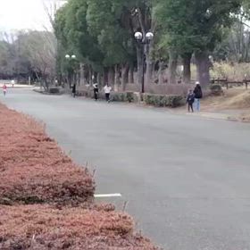 2/17 リレー選考会①の画像