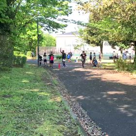 4/29リレー選考会（スタート）③  の画像