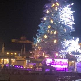 ライトアップの画像