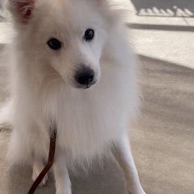 一発芸！の画像