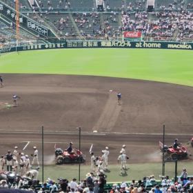 今日もご出勤の阪神園芸様の画像