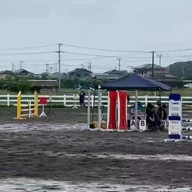 馬インフルエンザの画像