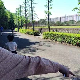 4/29 1000m１組目④の画像