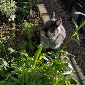 のんびり土曜日の午後の画像