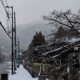 きょうの散歩道の画像
