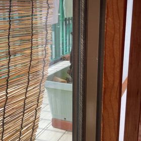 飼い主は見たの画像