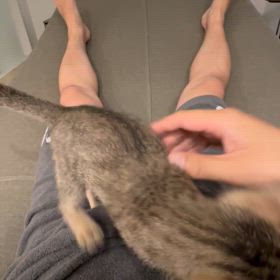 しつけ 難しいの画像