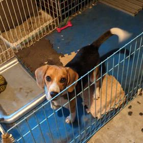 ぶっちゃけ老けて見えるよ！の画像