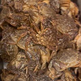 土曜日のSPの画像