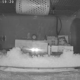 いっときですが けっこう回してましたよ。の画像