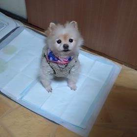 なんか元の部屋(ブログ)に戻っての画像