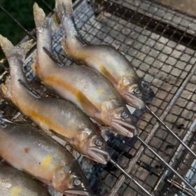 夏の思い出ひとつ増えた☆ | 秋丸美帆オフィシャルブログ「みっ