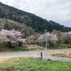 4/22〜4/30個人レッスンスケジュール　　福島市ギター教室の画像