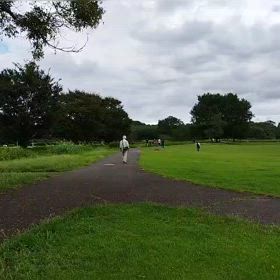 ハイレベ練習（300インターバル）②の画像