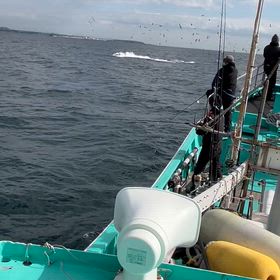 昨日！夕方はキハダ跳ねまくり！の画像