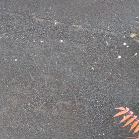 お天気なんちゃらの画像