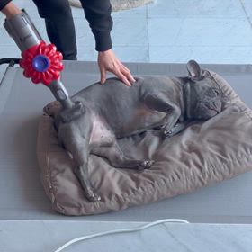 義父とスマホの画像