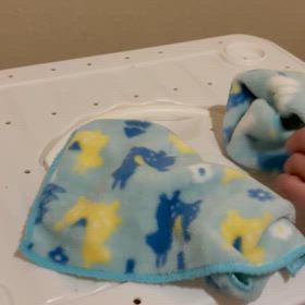 可愛い子ちゃん♡元気に入荷しました〜♡の画像