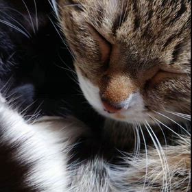 3月ですなの画像