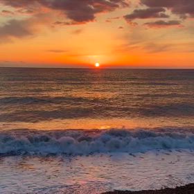 ただ見ているだけで心洗われるの画像