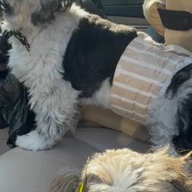 思った以上に良く見えるよーの画像