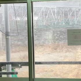 3月なのに…の画像